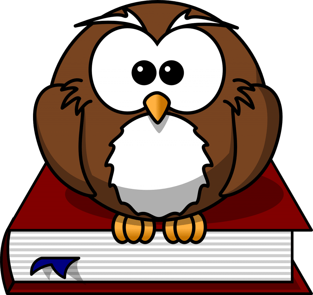 owl 47526 1280 E-wall