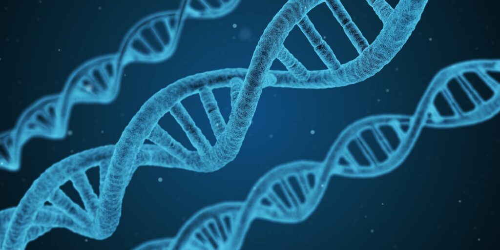 dna g813c7355d 1920 E-wall