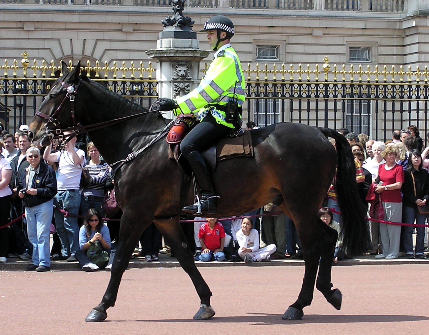 Mounted.police.buckingham.palace.arp