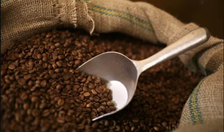 «Πικρός» Καφές: Νέες Αυξήσεις Τιμών Λόγω Επιστροφής του ΦΠΑ στο 24%