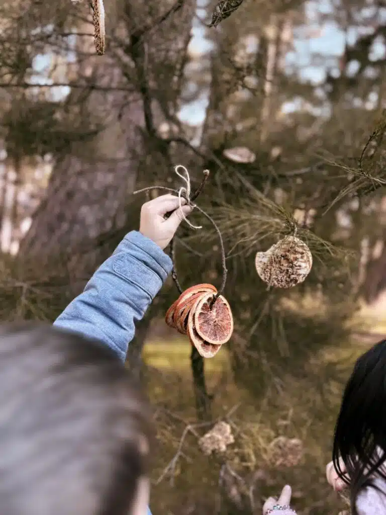 Ο Τόπος μας στα Χέρια μας: 20 Νέες Δράσεις Ενεργού Πολίτη από το ΙΕΠ σε συνεργασία με 11 διευθύνσεις εκπαίδευσης 17 Είναι cool να νοιάζεσαι! Είναι cool να είσαι Eco-School! Μαθητικό Φεστιβάλ Οικολογικών Σχολείων στην Τεχνόπολη Δήμου Αθηναίων